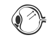 Retinal Disease